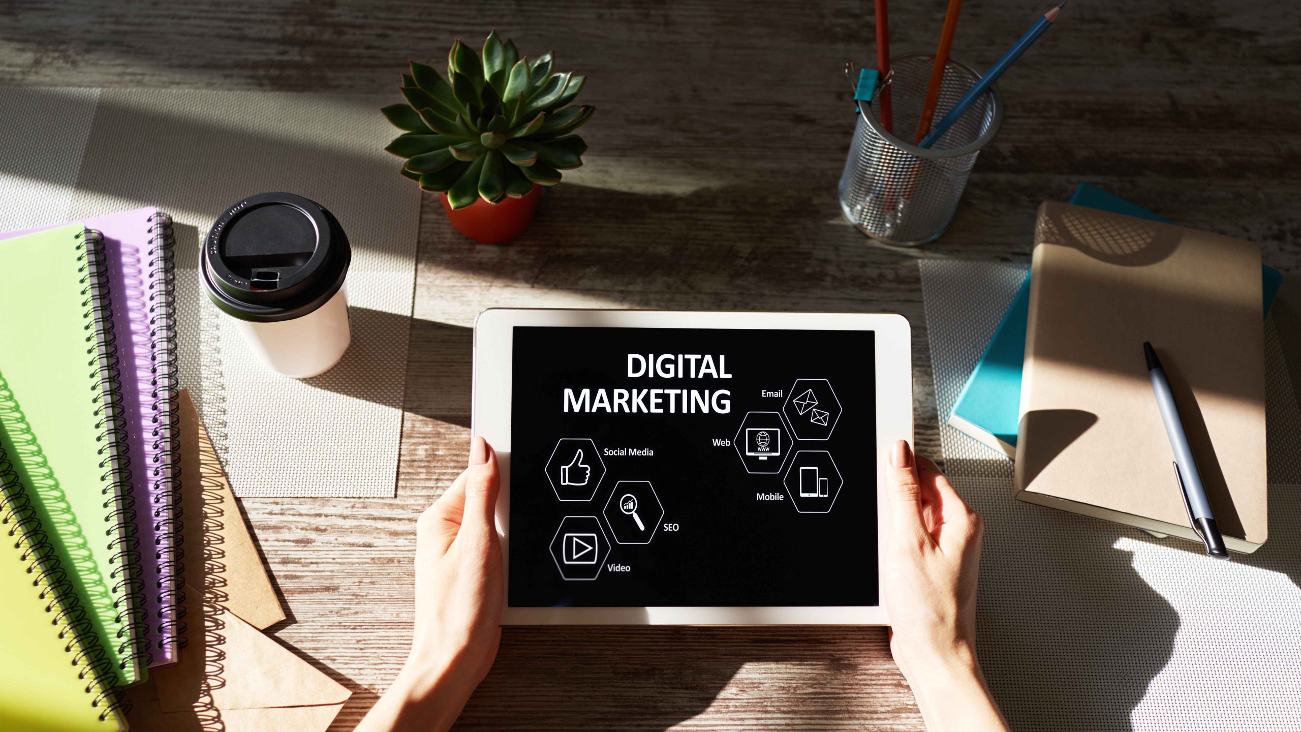 164991679_l_normal_none_11zon Expert Digital Marketing Services for Businesses in Fort Myers